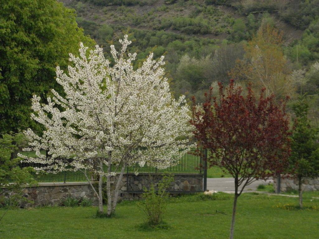 Hotel La Mora Villaseca de Laciana Екстер'єр фото